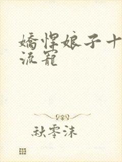 娇悍娘子十夫轮流宠封面