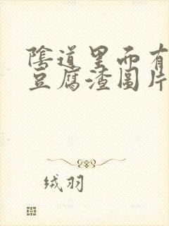 阴道里面有白色豆腐渣图片