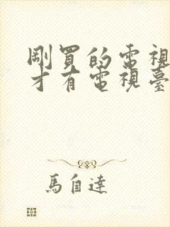 刚买的电视怎么才有电视台