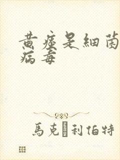 黄痰是细菌还是病毒