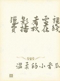 猎影者电视剧免费播放在线观看封面