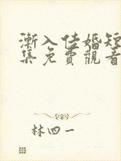 渐入佳婚短剧全集免费观看