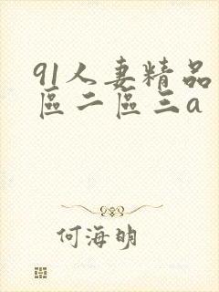 91人妻精品一区二区三a