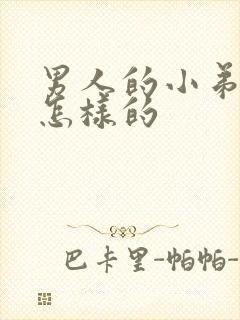 男人的小弟弟是怎样的