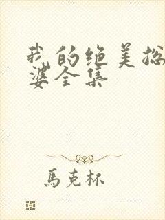 我的绝美总裁老婆全集