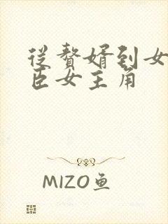 从赘婿到女帝宠臣女主角