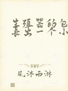 生殖器的包皮上长出一个小肉疙瘩封面