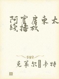 阿宾房东太大在线播放