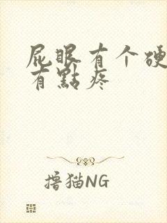 屁眼有个硬疙瘩有点疼