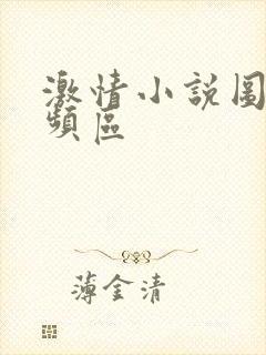 激情小说图片视频区