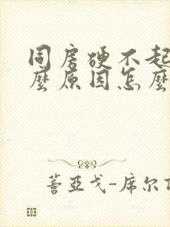 同房硬不起是什么原因怎么办