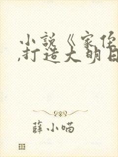 小说《家侄崇祯,打造大明日不落》