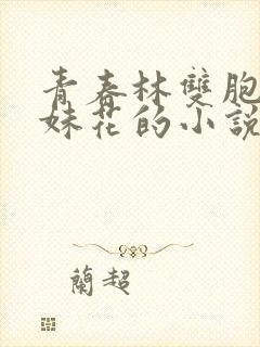 青春林双胞胎姐妹花的小说免费阅读