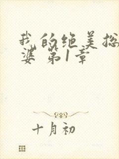 我的绝美总裁老婆 第1章