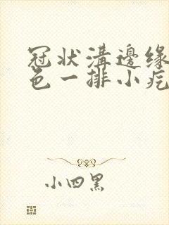 冠状沟边缘长肉色一排小疙瘩封面