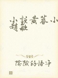 小说黄蓉小龙女赵敏