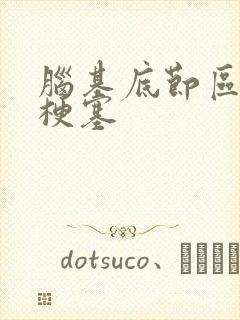 脑基底节区腔隙梗塞封面