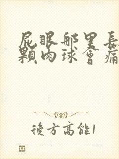 屁眼那里长了一颗肉球会痛