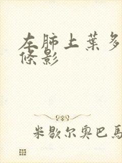 左肺上叶多发索条影