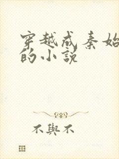 穿越成秦始皇帝的小说封面