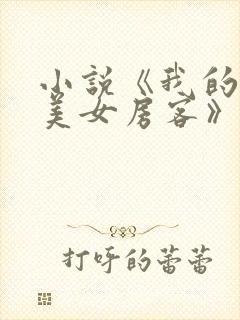 小说《我的绝色美女房客》