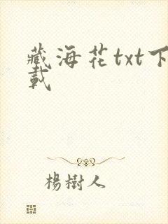 藏海花txt下载封面