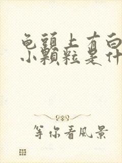 龟头上有白色的小颗粒是什么