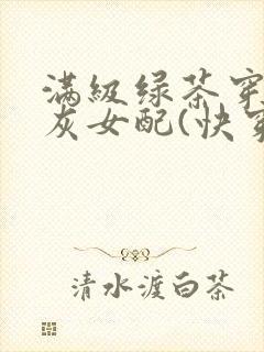 满级绿茶穿成炮灰女配(快穿高h