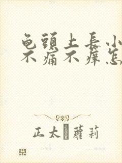 龟头上长小红斑不痛不痒怎么回事封面