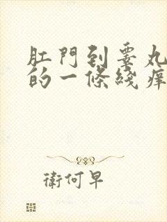 肛门到睾丸之间的一条线痒怎么回事