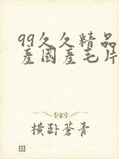 99久久精品国产国产毛片