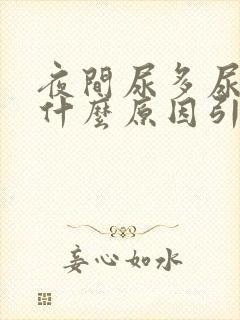 夜间尿多尿频是什么原因引起的