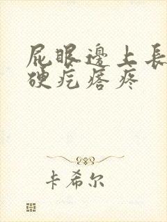 屁眼边上长一个硬疙瘩疼封面