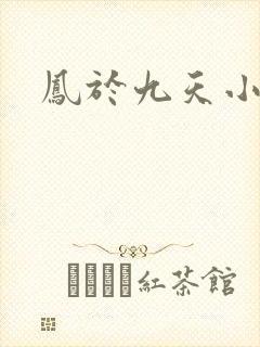 凤于九天小说