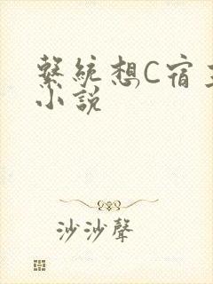 系统想C宿主的小说