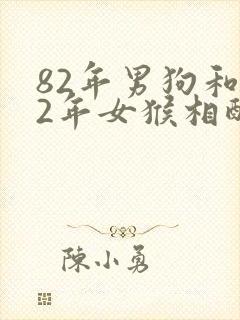 82年男狗和92年女猴相配婚姻如何