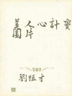 美人心计窦漪房图片封面