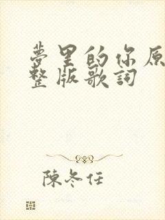 梦里的你原唱完整版歌词封面