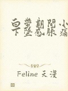 白带期间小腹有下坠感胀痛