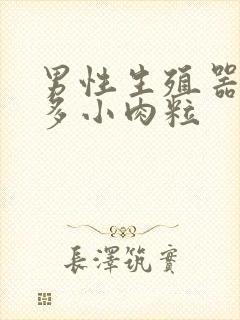 男性生殖器长很多小肉粒封面