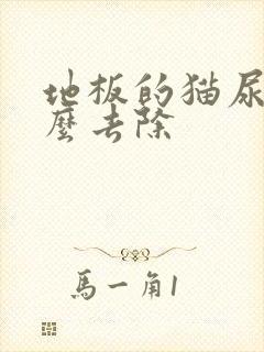 地板的猫尿味怎么去除