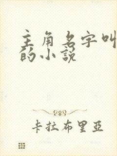 主角名字叫林晓的小说