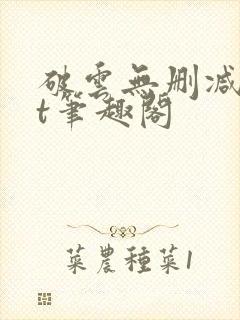 破云无删减txt笔趣阁