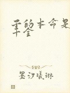 子的本命是恶役千金封面