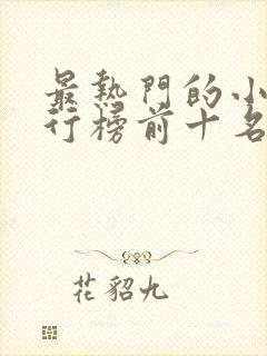 最热门的小说排行榜前十名封面