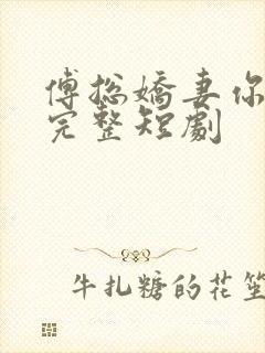 傅总娇妻你别逃完整短剧