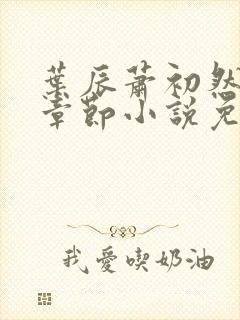 叶辰萧初然最新章节小说免费阅读