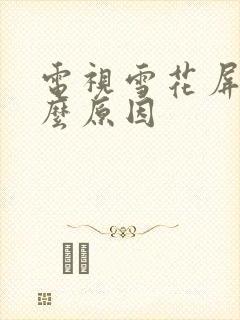 电视雪花屏是什么原因