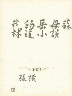 我的岳母苏沛真林道小说