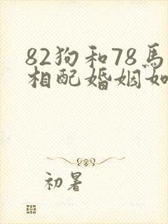 82狗和78马相配婚姻如何